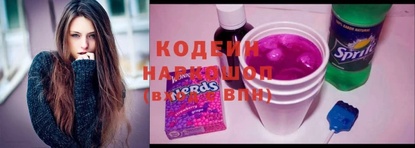 дмт Пестово
