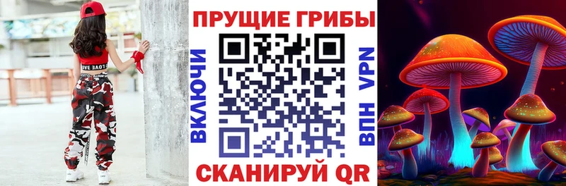Галлюциногенные грибы ЛСД  mega ONION  Суджа 